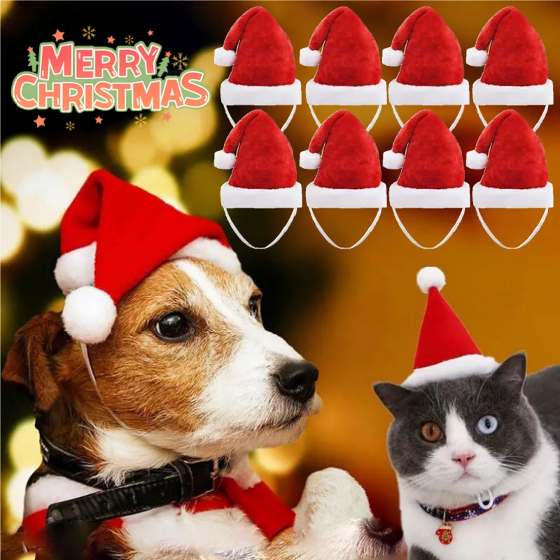 หมวกซานต้าสัตว์เลี้ยงสำหรับคริ - Santa Hat Plush บทวิจารณ์และราคา