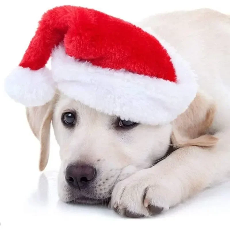 หมวกซานต้าสัตว์เลี้ยงสำหรับคริ - Santa Hat Plush บทวิจารณ์และราคา
