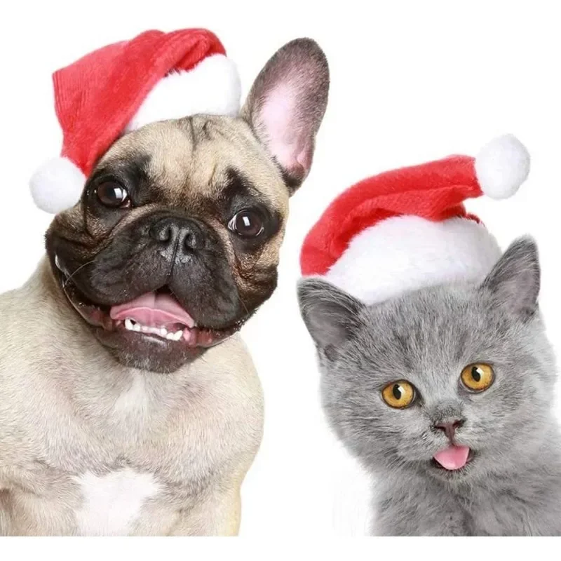 หมวกซานต้าสัตว์เลี้ยงสำหรับคริ - Santa Hat Plush บทวิจารณ์และราคา