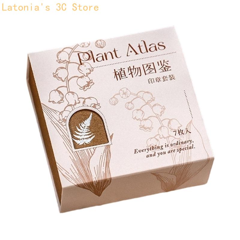 เครื่องมือหัตถกรรมกระดาษกดด้วย - Gift Box Wrap Set บทวิจารณ์และราคา