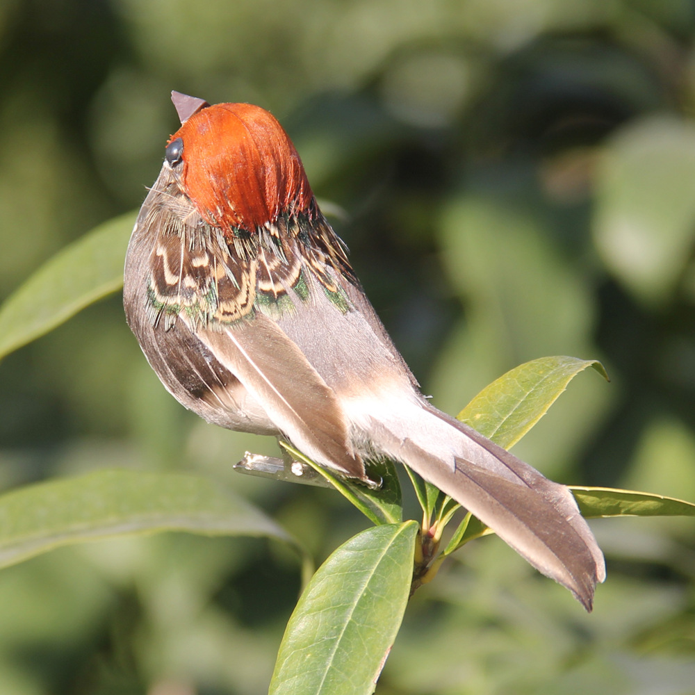 2 ชิ้น Hot Feather Bird เลียนแ - Christmas Tree Artificial บทวิจารณ์และราคา
